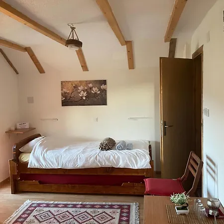 Apartmán Bir-bee *